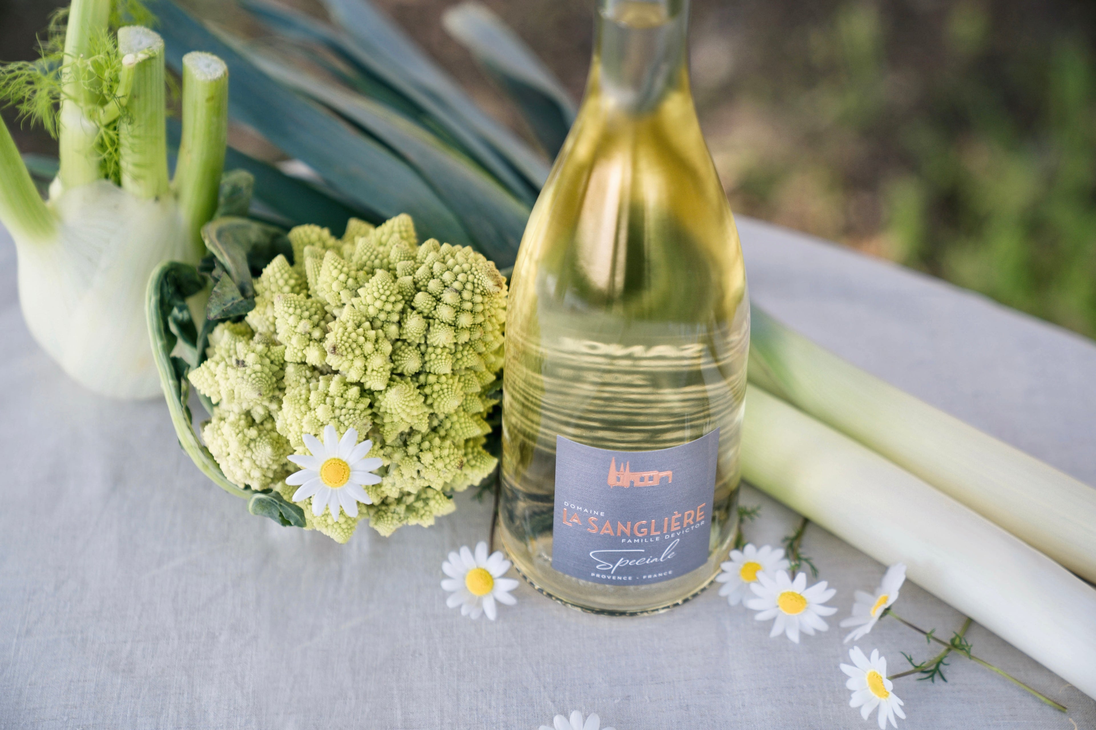 Spéciale Blanc